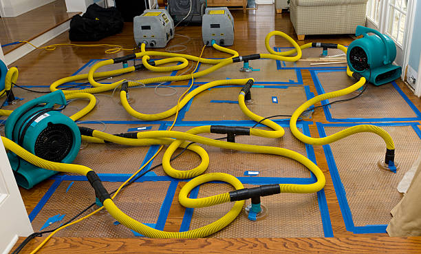Professional Water Damage Repair technician working in Thornton, IL